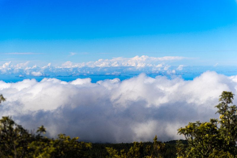 20140105_162421 D3-Edit.jpg - Hiway to/from Haleakala, Maui